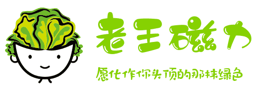 老王磁力